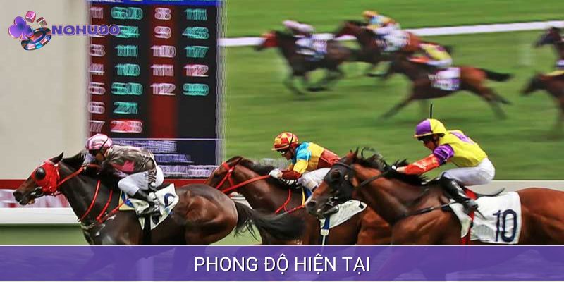 Huấn luyện viên và nài ngựa có vai trò cực quan trọng