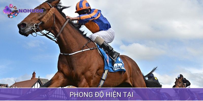 Xem xét phong độ hiện tại của chiến mã
