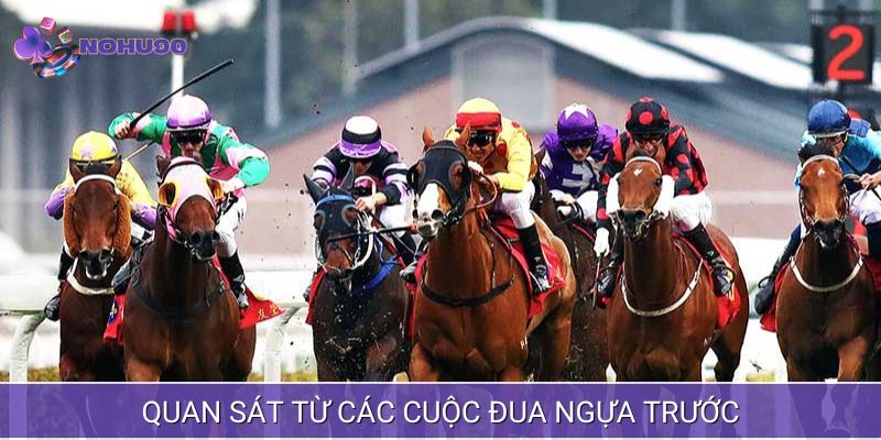 Quan sát các cuộc đua trước đó để tự tin đặt cược