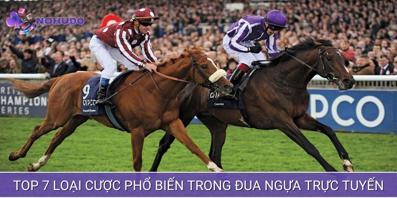 Người chơi có nhiều lựa chọn đặt cược khi tham gia sảnh đua ngựa
