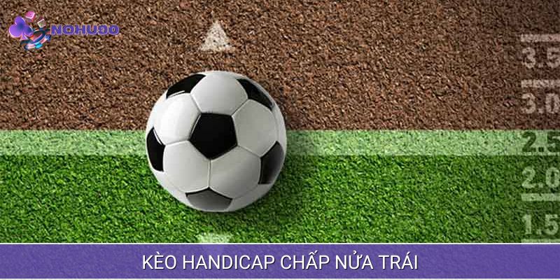 Chấp nửa trái được nhiều người chơi lựa chọn để đặt cược